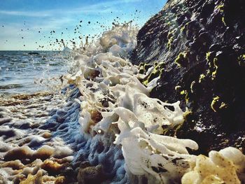 Close-up of rocks in sea against sky