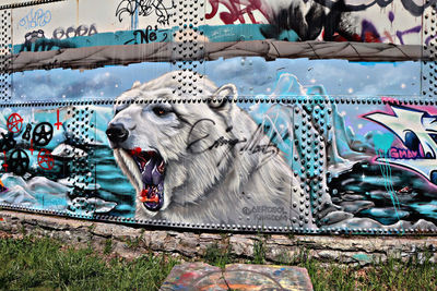 Close-up of a cat with animal representation