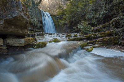 Scenic view of waterfall in forest