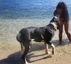 Woman playing with dog on shore at beach