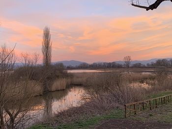 Scenic view of field against sky during sunset