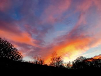 Silhouette trees against sky at sunset