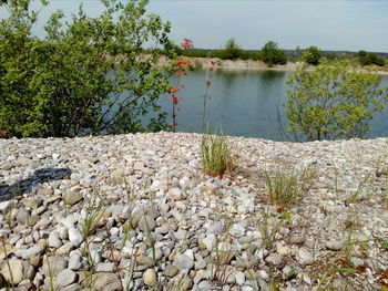 Scenic view of lake against sky