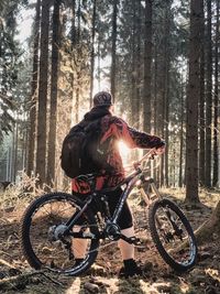 Rear view of man riding bicycle in forest