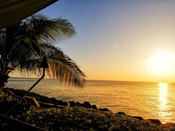 Scenic view of sea during sunset