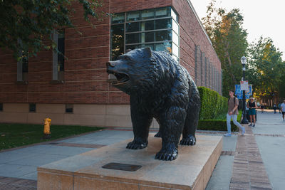 sculpture