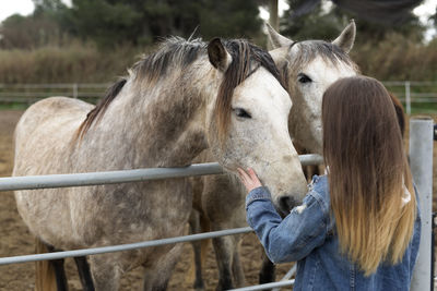 Teenage girl touching a horse in a stable - refuge of rojales, province of alicante in spain.