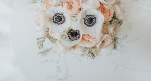 High angle view of white roses