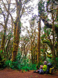 People sitting on tree trunk in forest