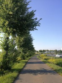 Empty road along plants and trees against sky