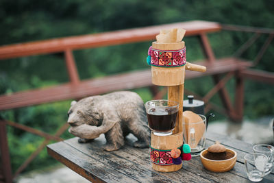 Close-up of a dog on table