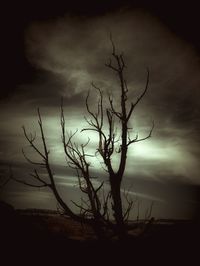 Bare trees on landscape against cloudy sky at dusk