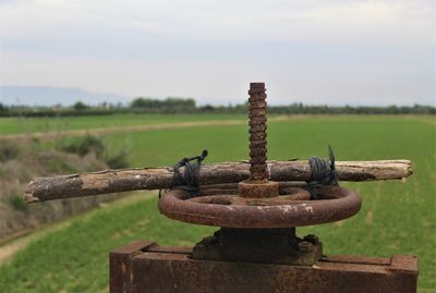 Irrigation in formentera del segura, alicante, spain