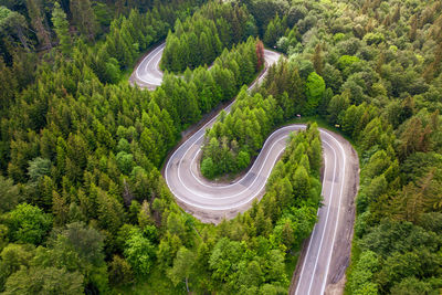 High angle view of road amidst trees