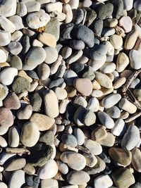 Full frame shot of logs