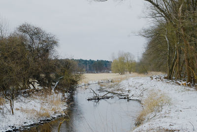 Bare trees on snow covered landscape against sky