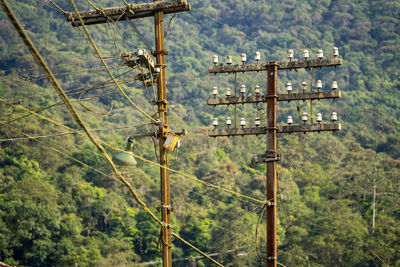 Electricity pylon on pole amidst trees