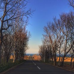 Empty road along trees