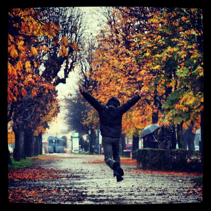 autumn, change, season, transfer print, tree, auto post production filter, leaf, lifestyles, full length, walking, rear view, leisure activity, orange color, fallen, leaves, standing, footpath, outdoors