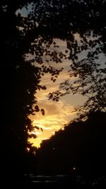 Silhouette trees against sky during sunset