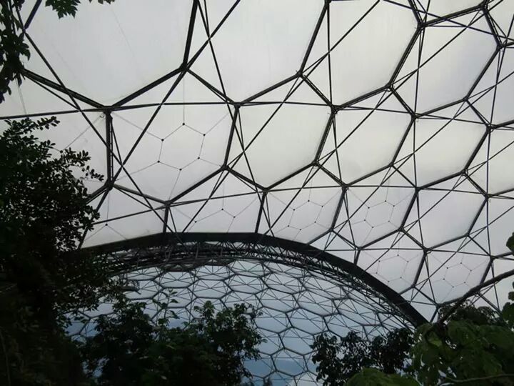 low angle view, built structure, architecture, tree, sky, connection, day, no people, outdoors, growth, clear sky, modern, pattern, arch, glass - material, nature, bridge - man made structure, branch, travel destinations, building exterior