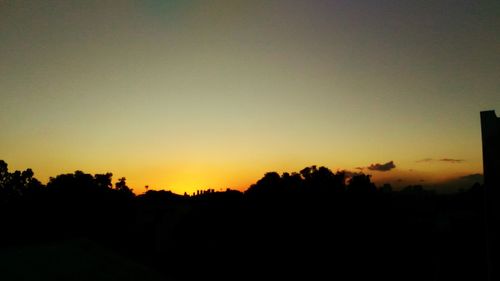 Silhouette of trees at sunset