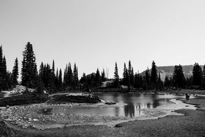 Scenic view of trees against clear sky