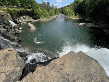 High angle view of waterfall in forest