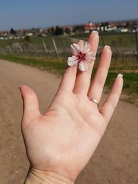 Cropped hand of person holding flower against sky