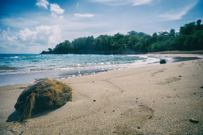 Scenic view of beach against sky