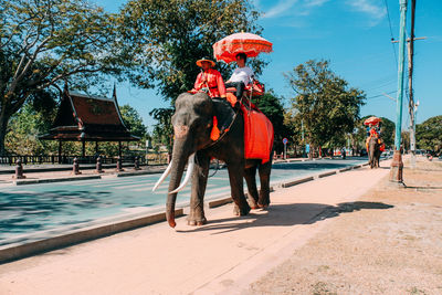 Full length of man riding elephant against sky