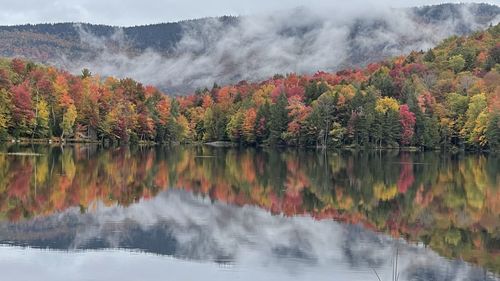 Scenic view of lake in forest during autumn