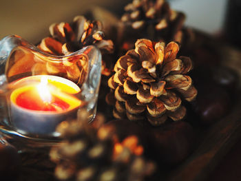 Close-up of flower pot on table