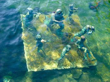 High angle view of swimming pool