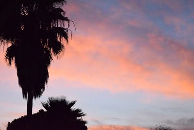 Low angle view of silhouette trees against sky at sunset