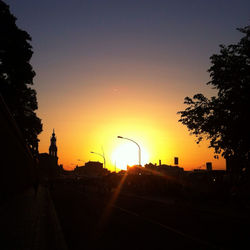 Silhouette of trees at sunset