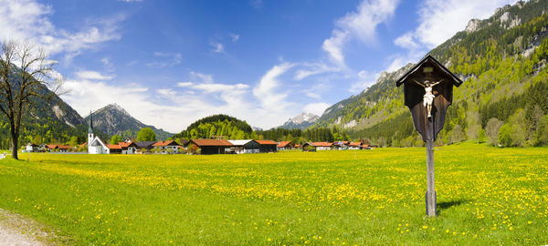 Scenic view of field by houses against sky