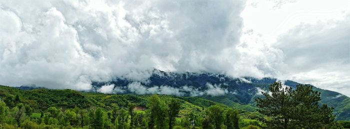 Scenic view of landscape against sky