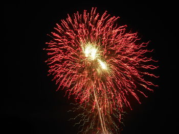 Low angle view of firework display at night