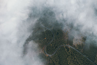 Road in the deep forest shrouded in fog. mysterious photo.