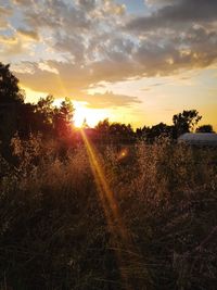 Scenic view of field against sky during sunset