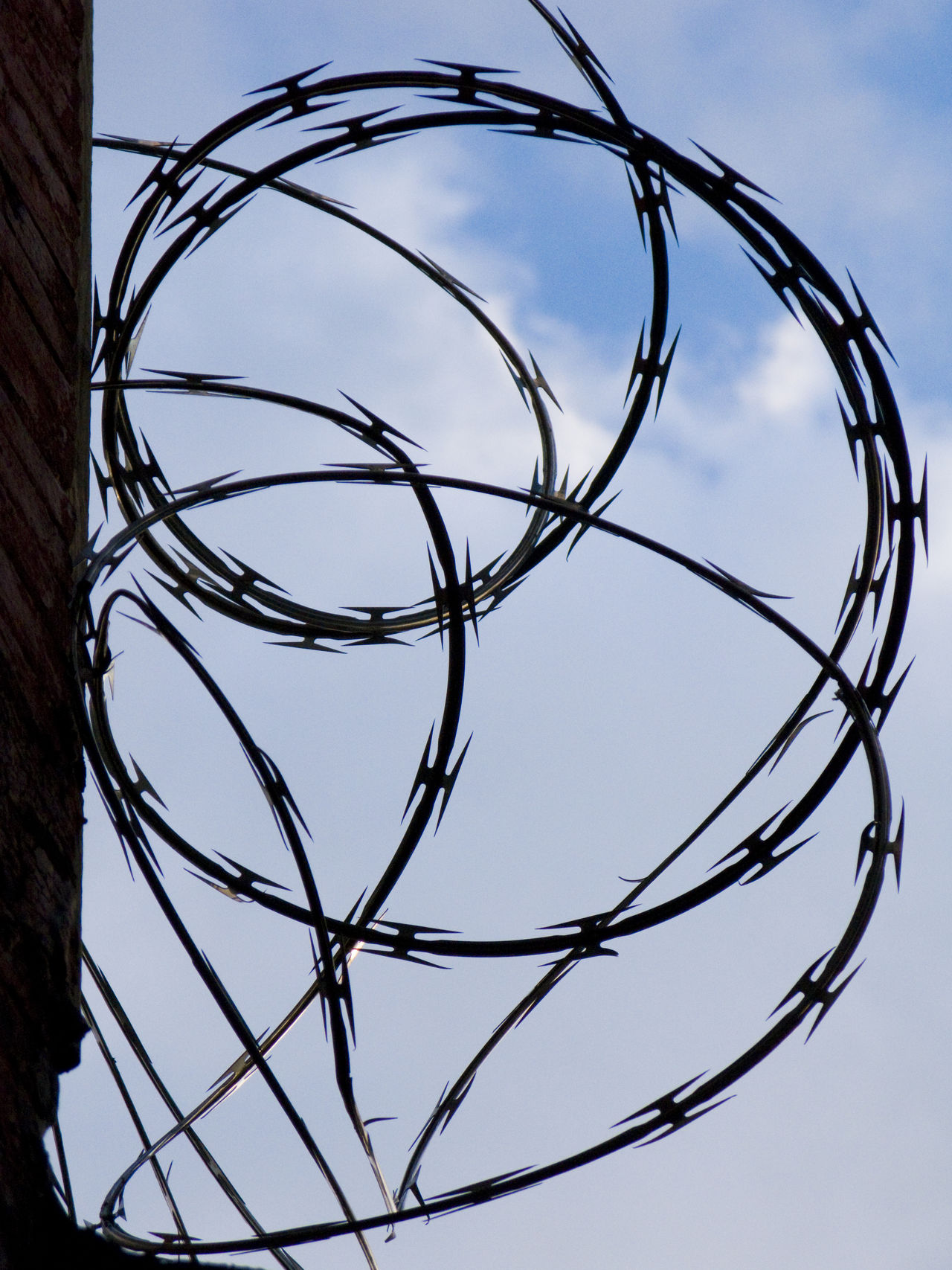 Barbed wire against the sky