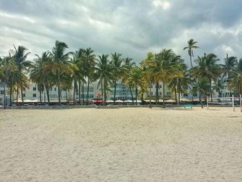 Palm trees on beach against cloudy sky