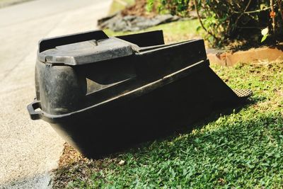 Close-up view of leaf