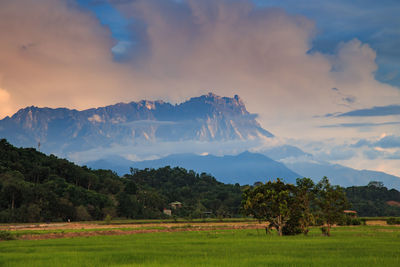 Scenic view of field against sky during sunset