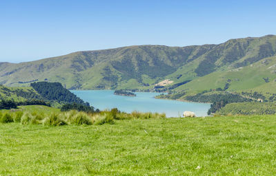 Idyllic landscape around akaroa