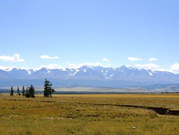 Scenic view of field against sky