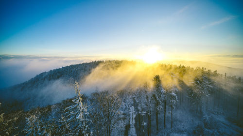 Wide angle sunset landscape over a cold, frozen and foggy forest.