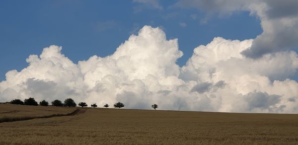 Panoramic view of agricultural field against sky