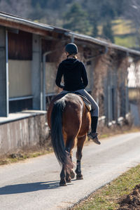 Rear view of man riding horse